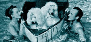 David & Hjordis Niven with their dogs, 1949