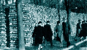 Wood piled in the streets of Stockhom, 1944