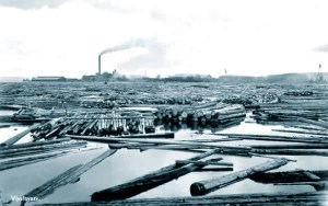 Vivstavarv sawmill