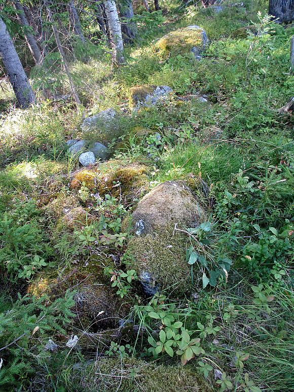 A small wall at the site of the Genberg family's croft in Rismyra,.